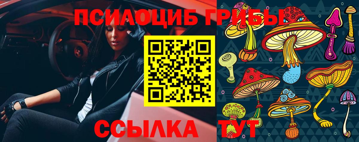 Карачаевск  Псилоцибиновые грибы мухоморы  Вход с VPN  Галлюциногенные грибы Psilocybe 