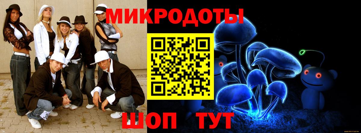 Псилоцибиновые грибы Psilocybine cubensis Карачаевск